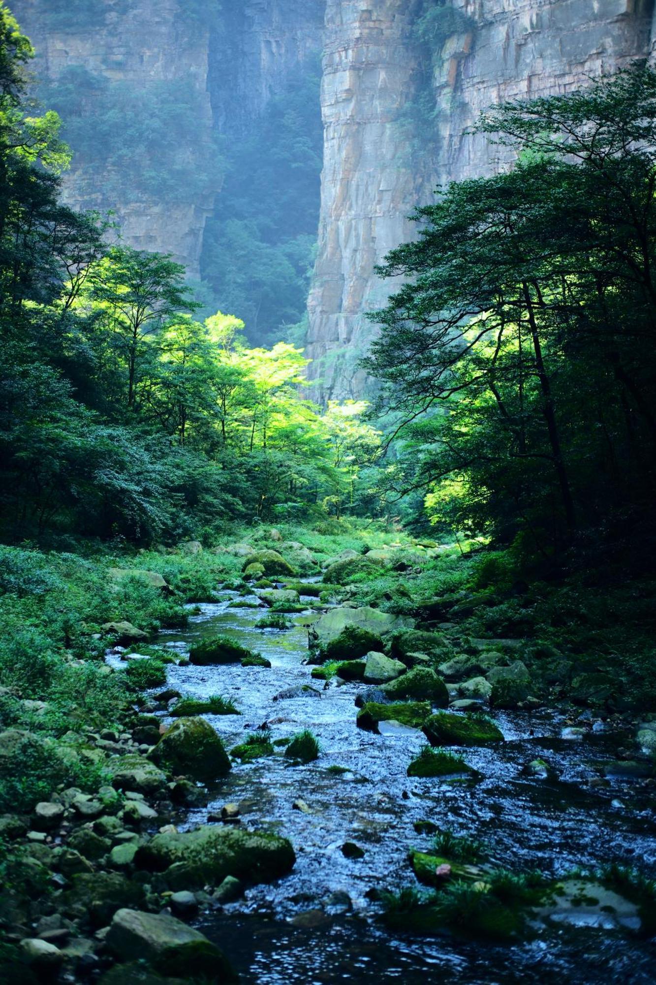 Zhangjiajie Forest Park Youth Hostel Kültér fotó