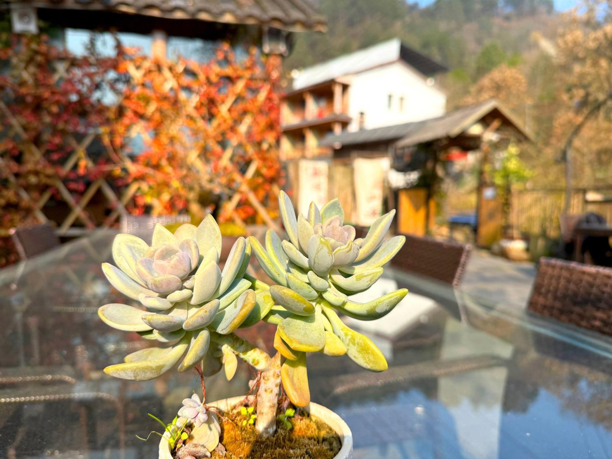 Zhangjiajie Forest Park Youth Hostel Kültér fotó